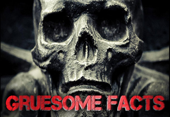 Alnwicks gruesome facts